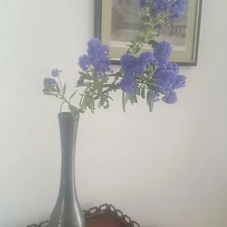 77 Rue De France Apartamento
